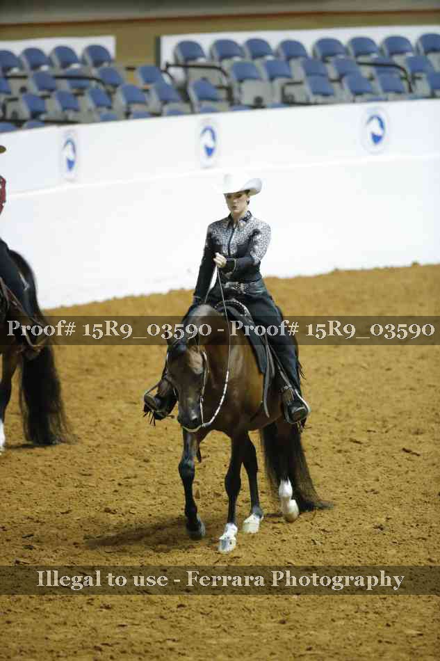 Proof 15R9_03590