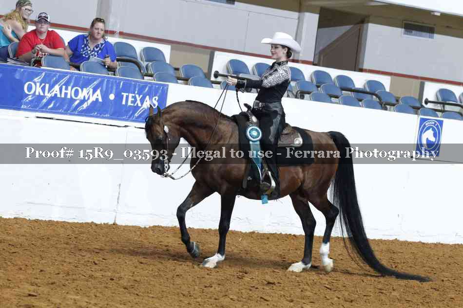 Proof 15R9_03593