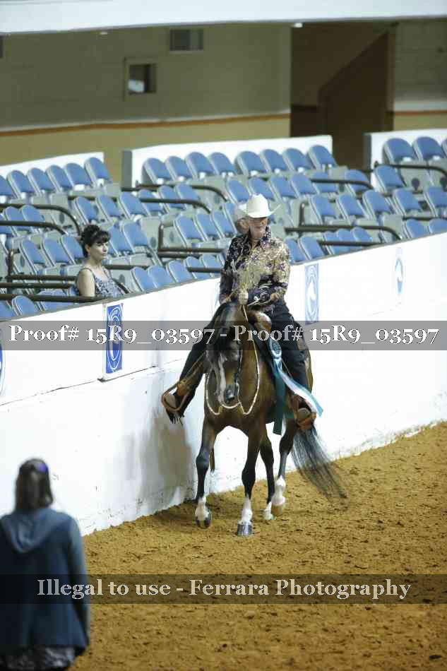 Proof 15R9_03597