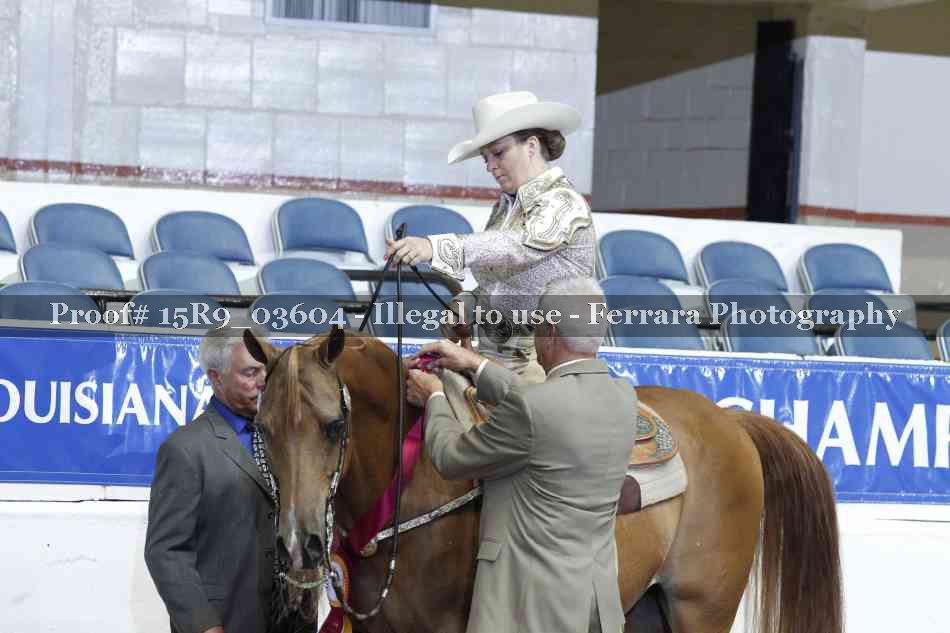 Proof 15R9_03604