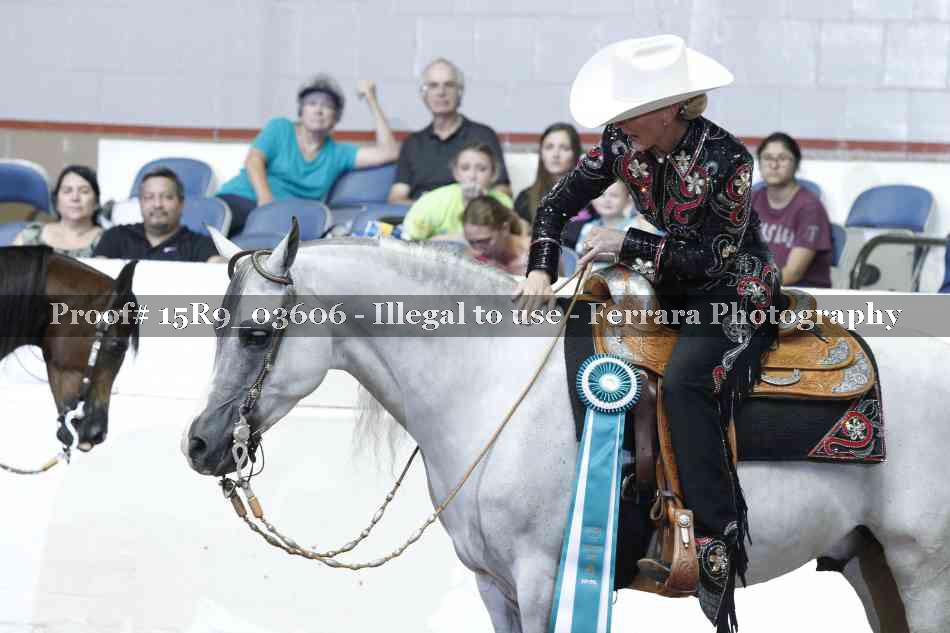 Proof 15R9_03606