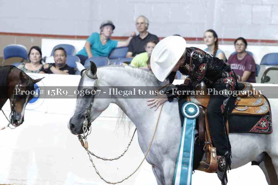 Proof 15R9_03607