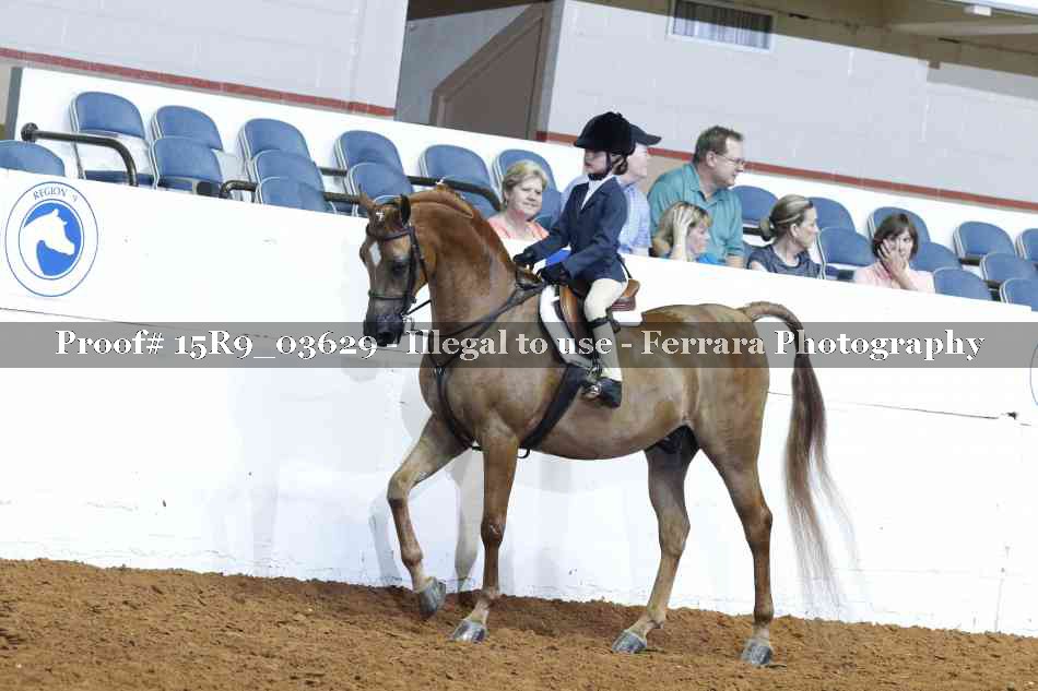 Proof 15R9_03629
