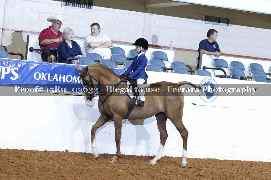 Proof 15R9_03633