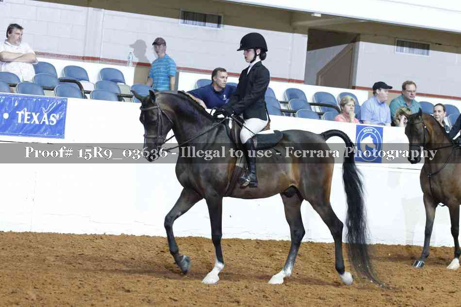 Proof 15R9_03636