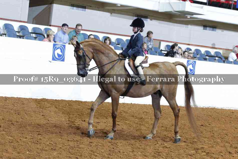 Proof 15R9_03641
