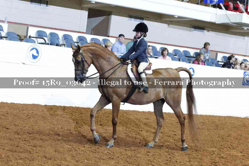 Proof 15R9_03642