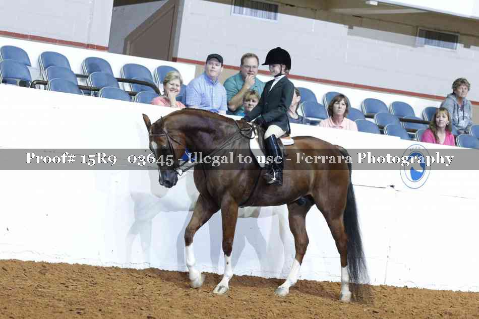 Proof 15R9_03645