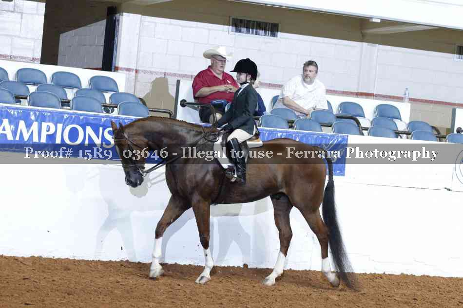 Proof 15R9_03646