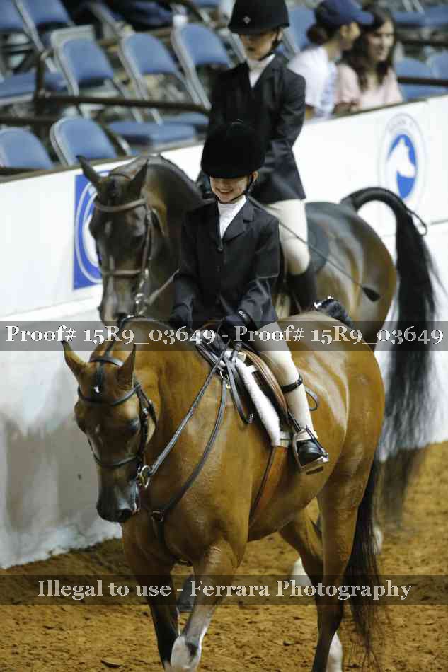 Proof 15R9_03649