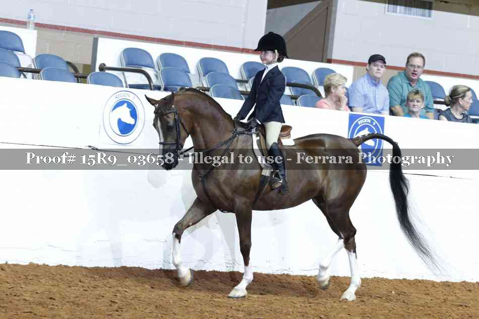 Proof 15R9_03658