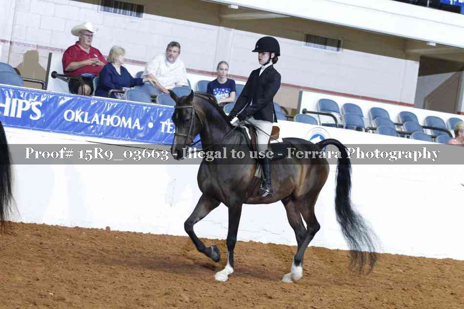 Proof 15R9_03663
