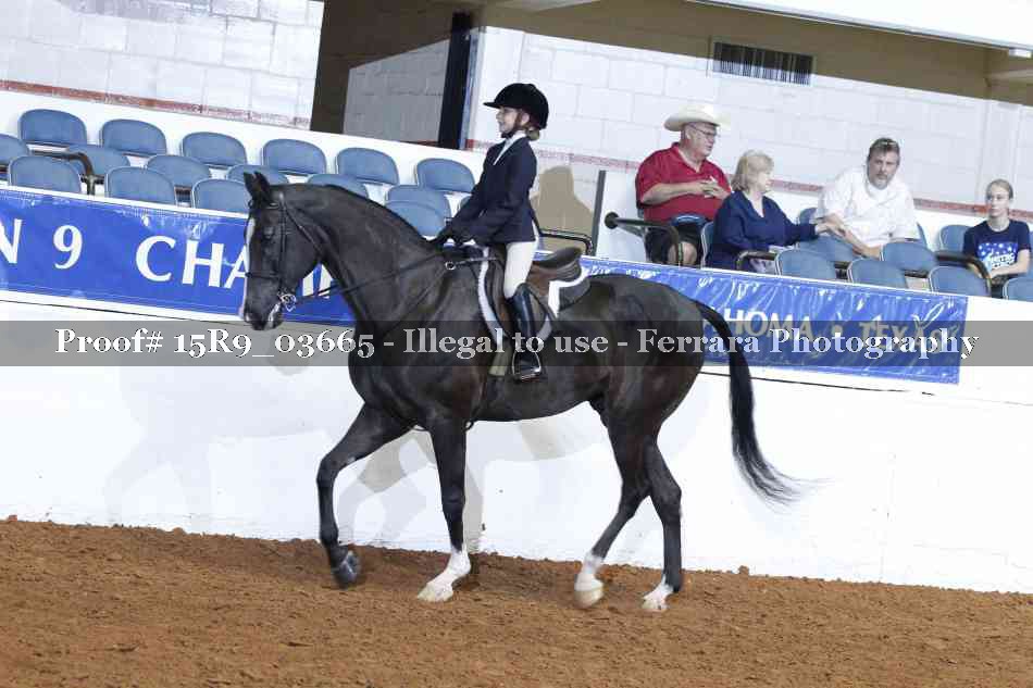 Proof 15R9_03665
