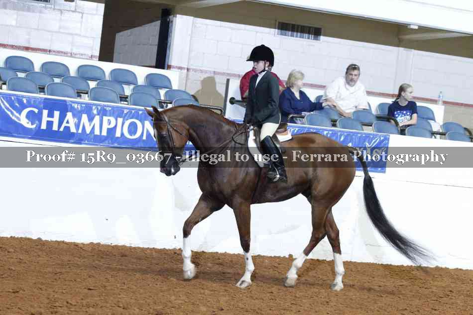 Proof 15R9_03667