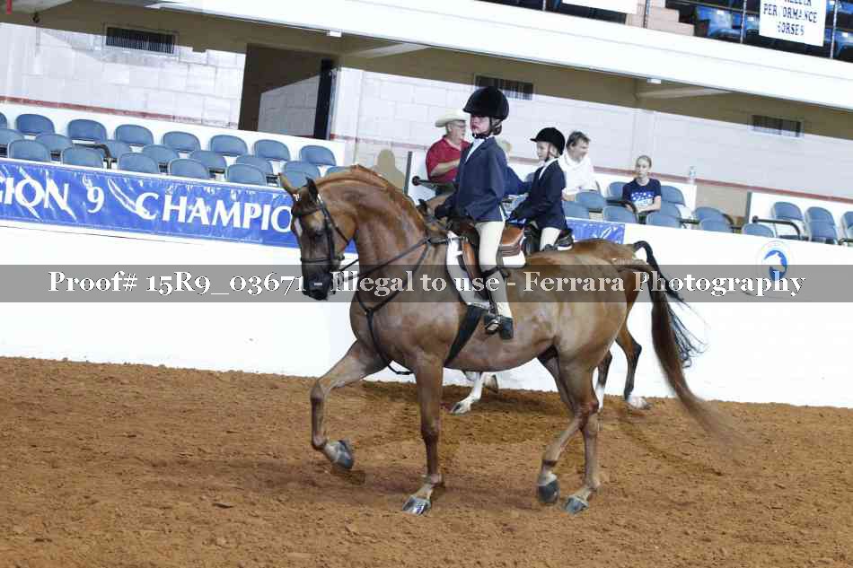 Proof 15R9_03671