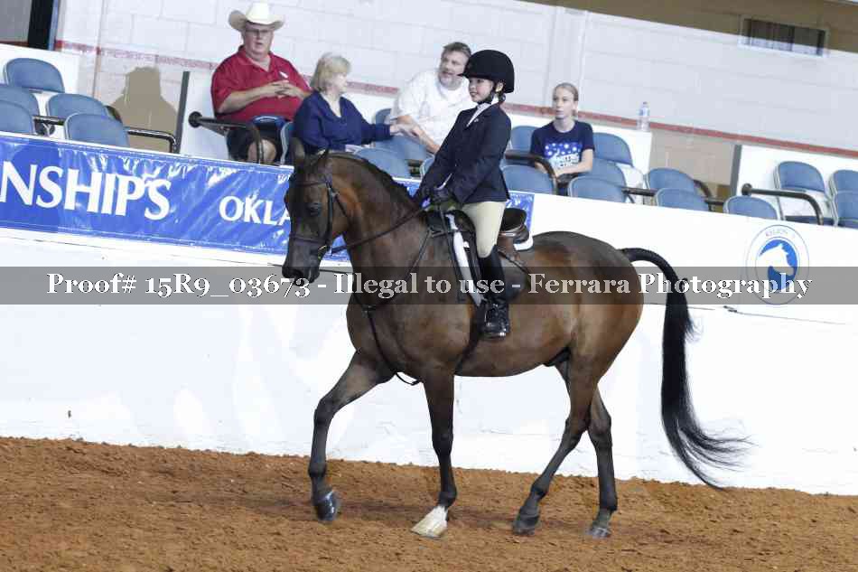 Proof 15R9_03673