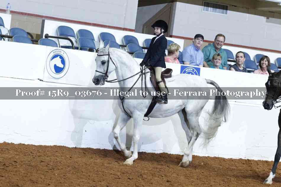 Proof 15R9_03676