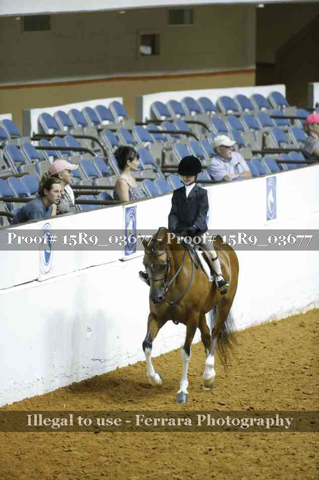 Proof 15R9_03677