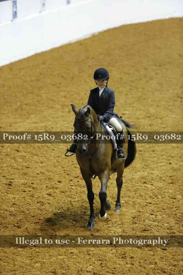 Proof 15R9_03682