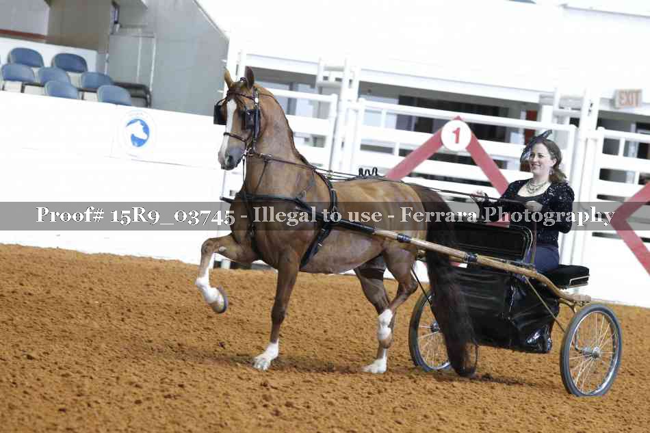 Proof 15R9_03745