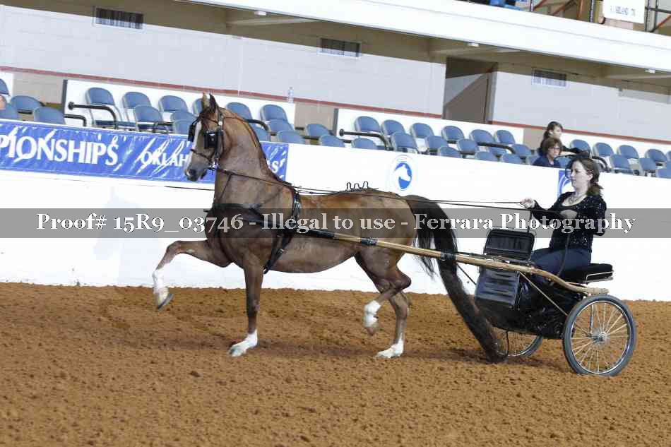 Proof 15R9_03746