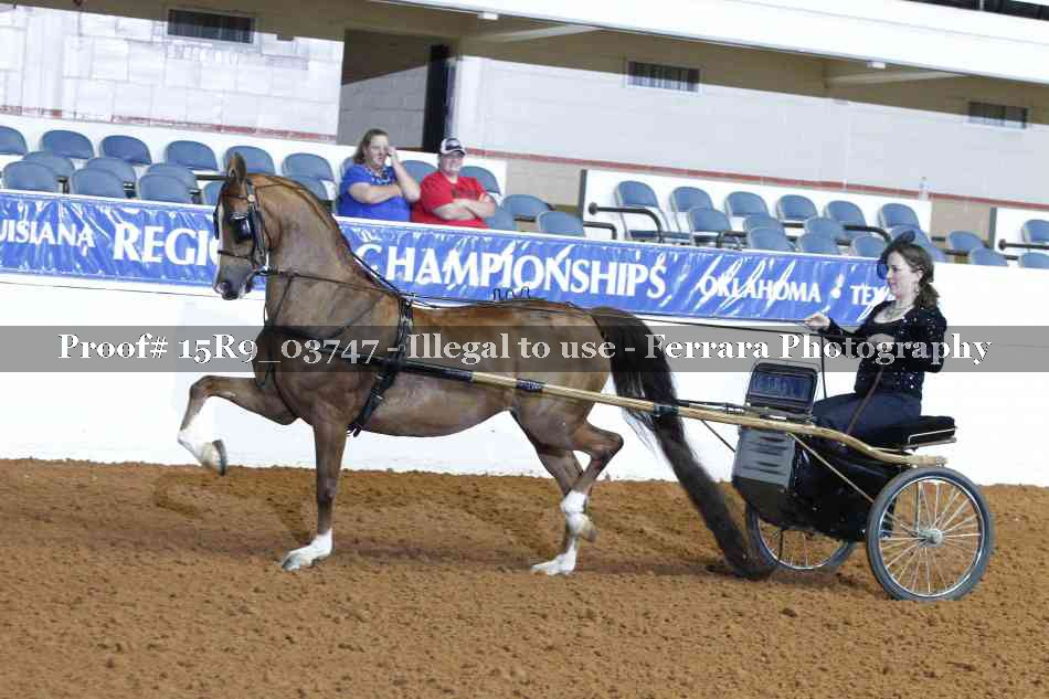 Proof 15R9_03747
