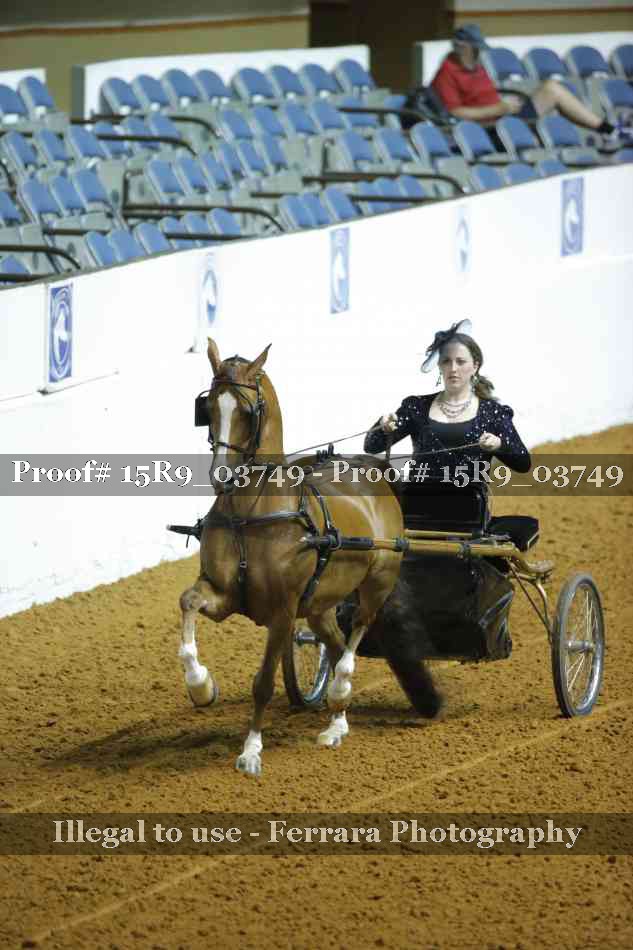 Proof 15R9_03749