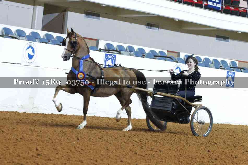 Proof 15R9_03750