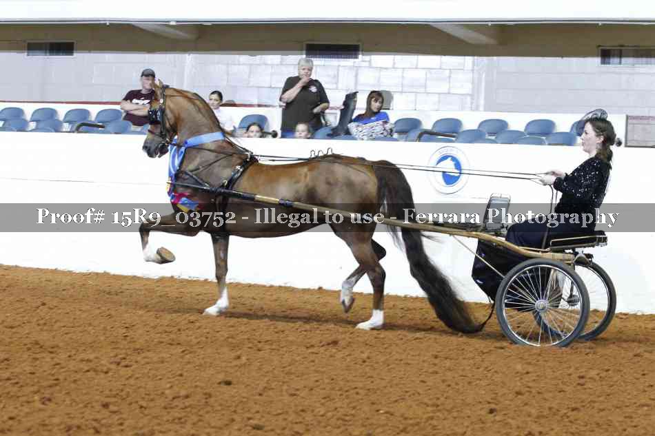 Proof 15R9_03752