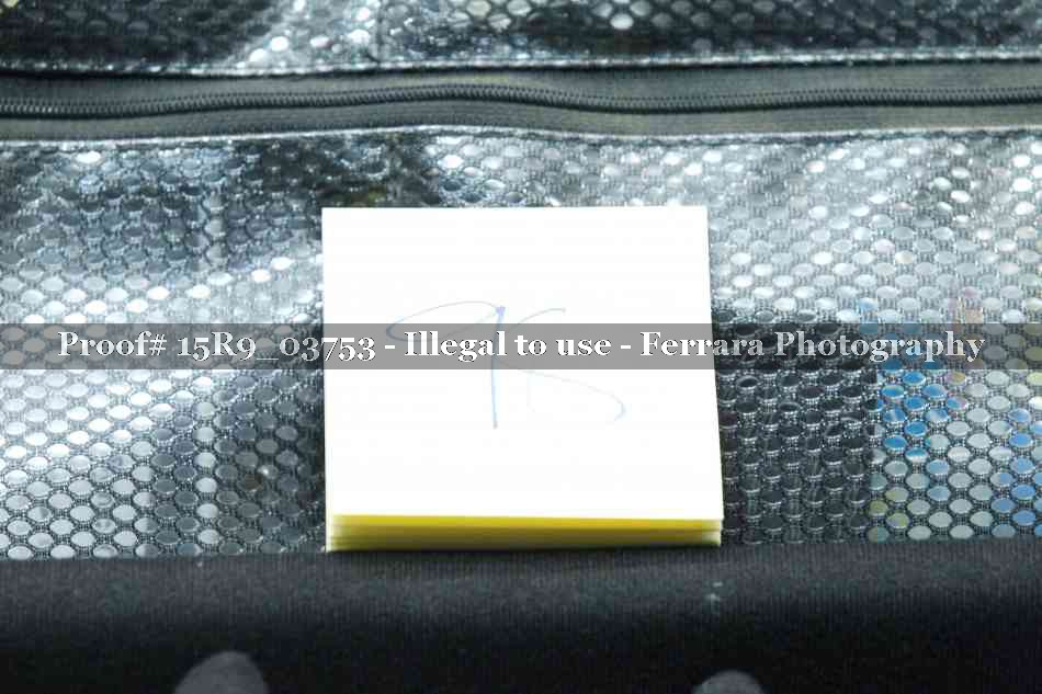 Proof 15R9_03753