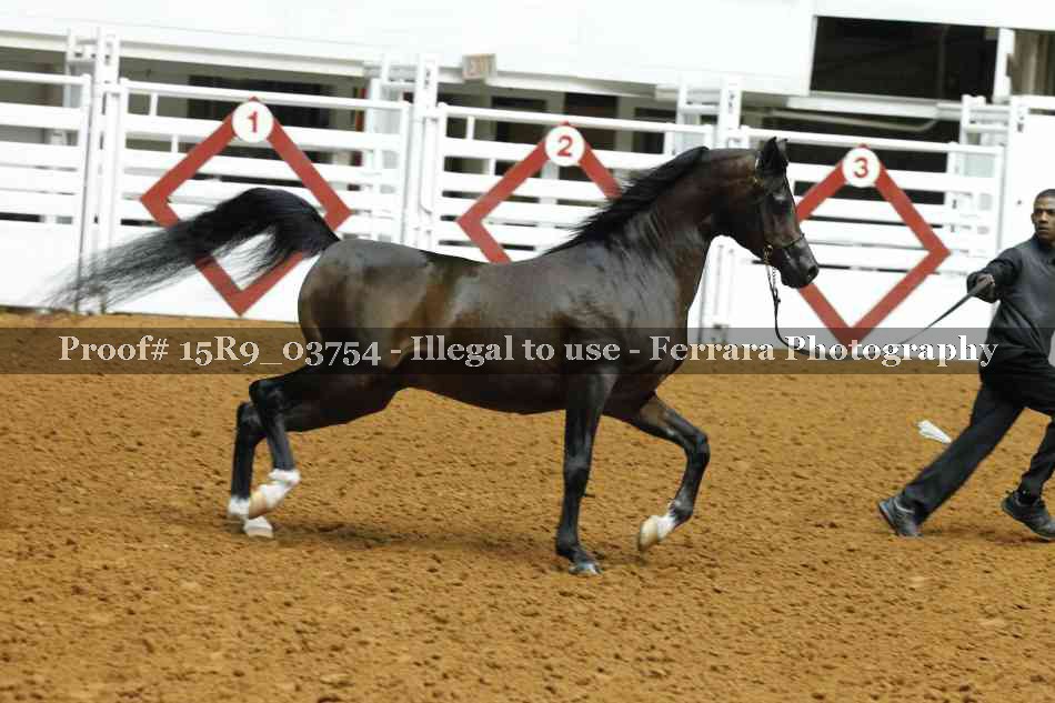 Proof 15R9_03754