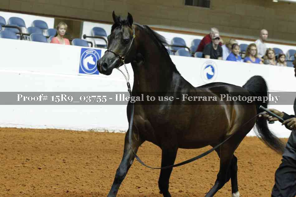 Proof 15R9_03755