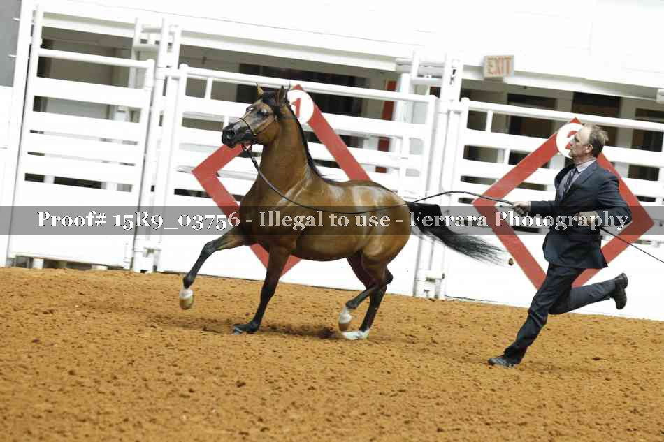 Proof 15R9_03756