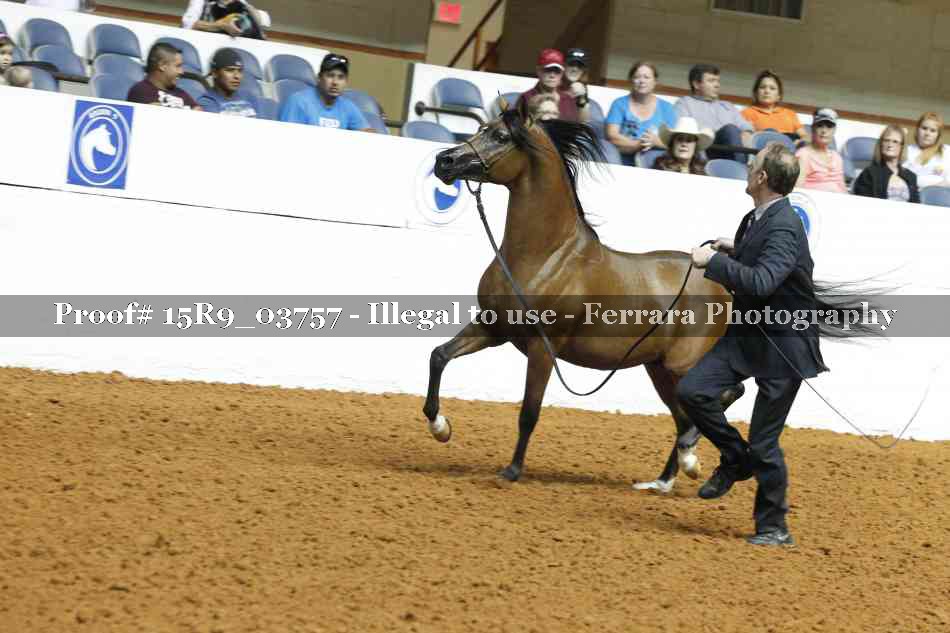 Proof 15R9_03757