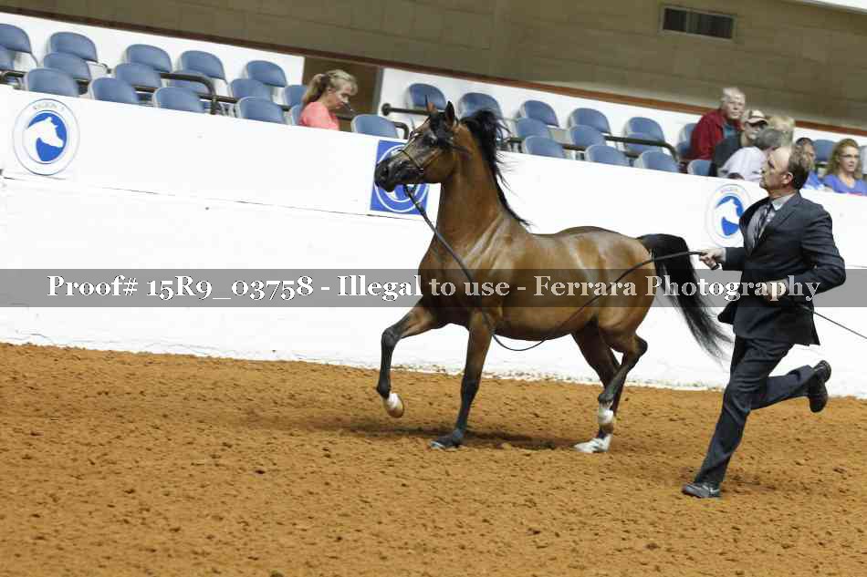 Proof 15R9_03758