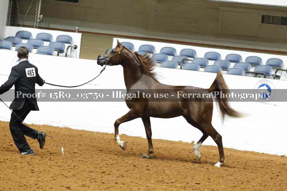 Proof 15R9_03759