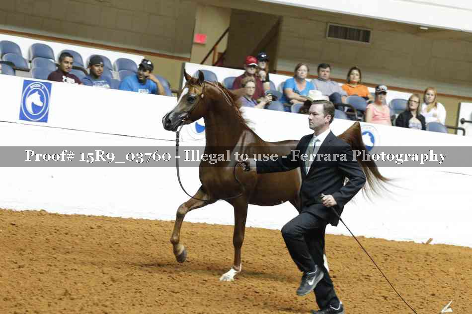Proof 15R9_03760