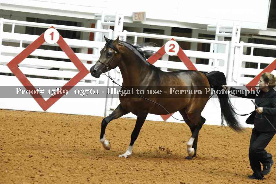 Proof 15R9_03761