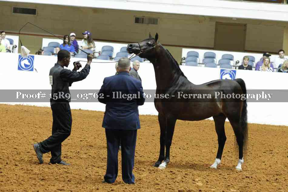 Proof 15R9_03762