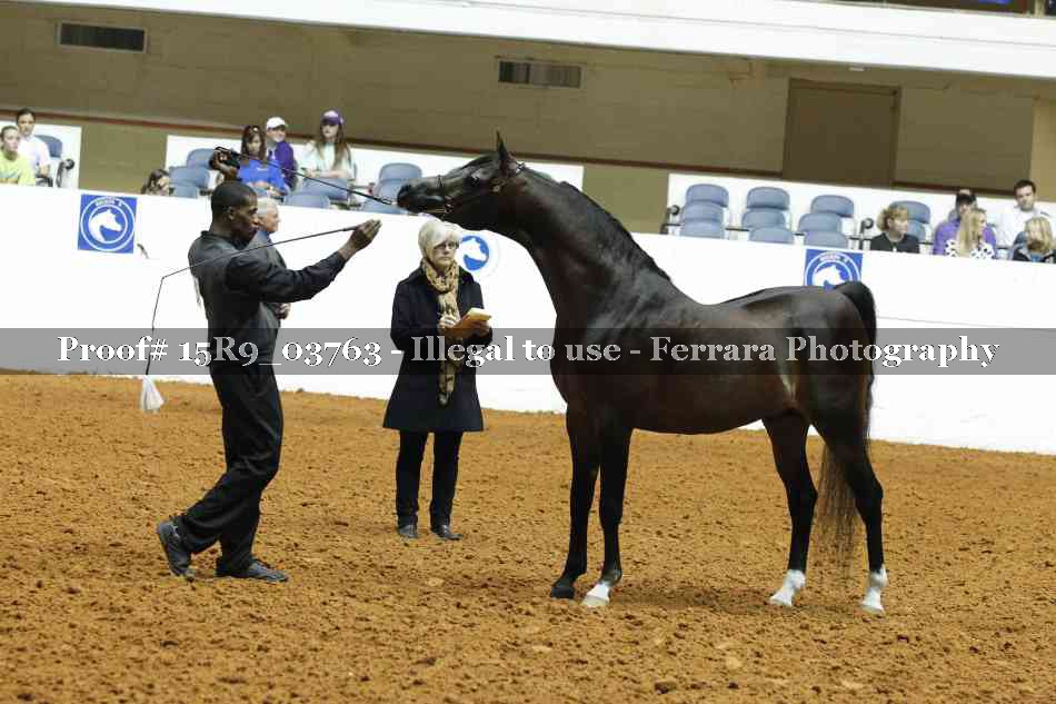 Proof 15R9_03763