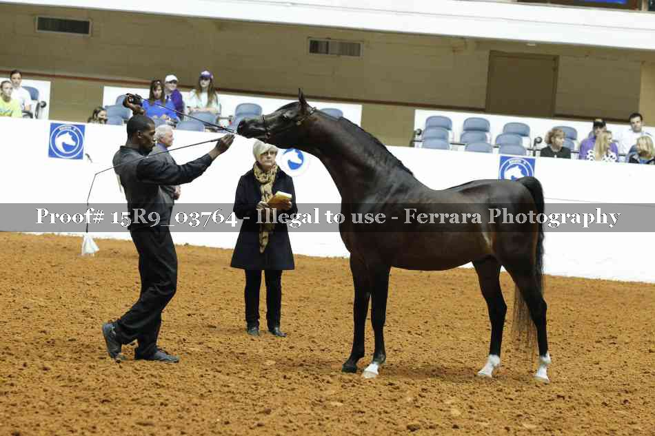 Proof 15R9_03764