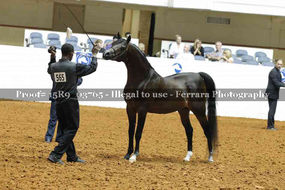 Proof 15R9_03765