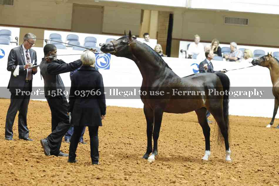 Proof 15R9_03766