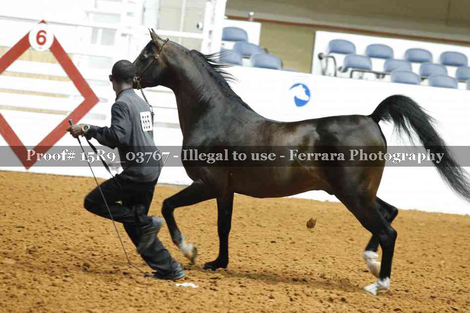 Proof 15R9_03767