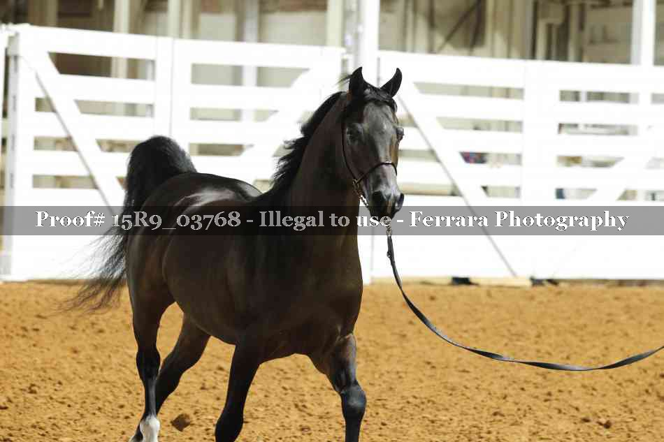 Proof 15R9_03768