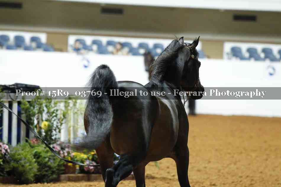 Proof 15R9_03769