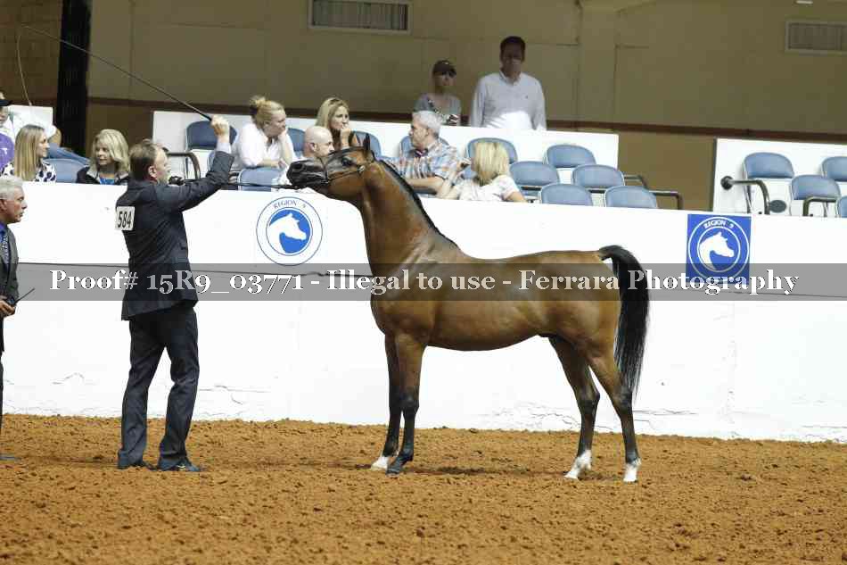 Proof 15R9_03771
