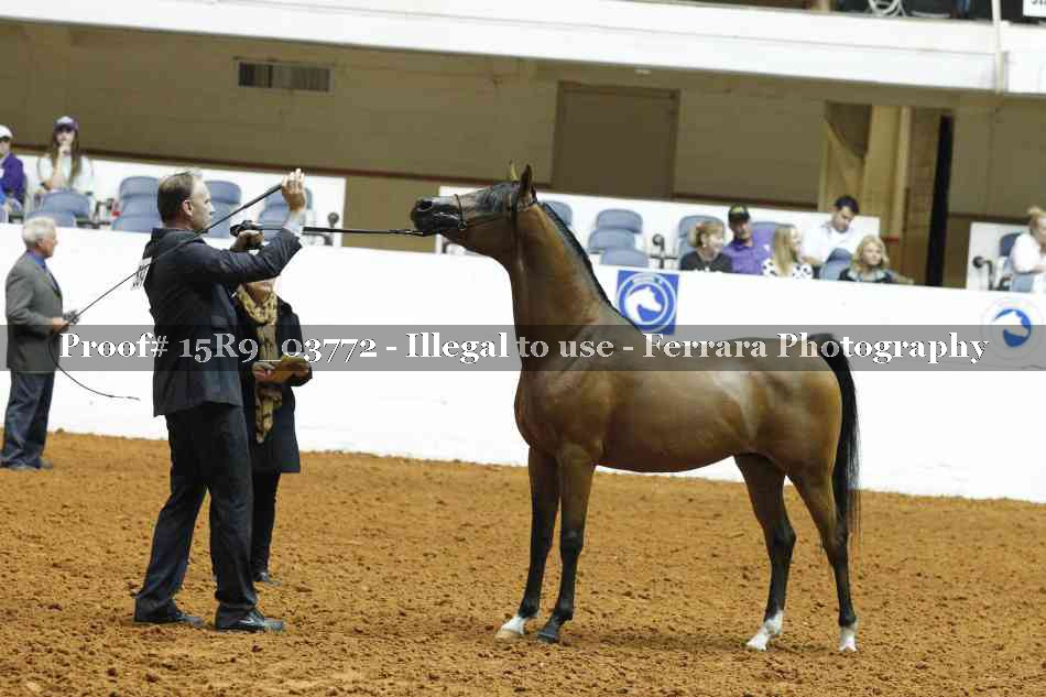 Proof 15R9_03772