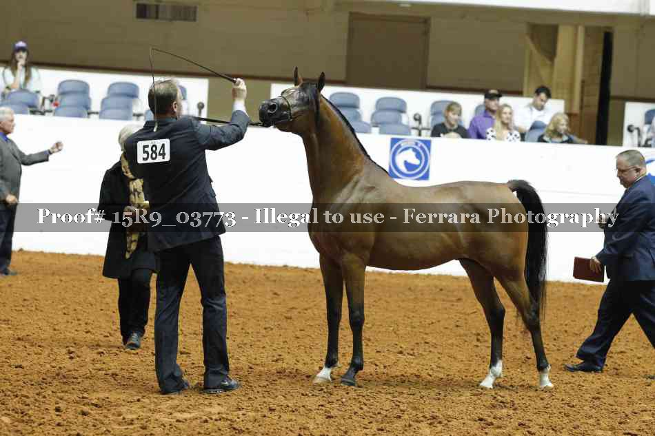 Proof 15R9_03773