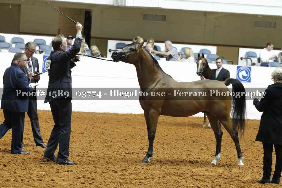 Proof 15R9_03774